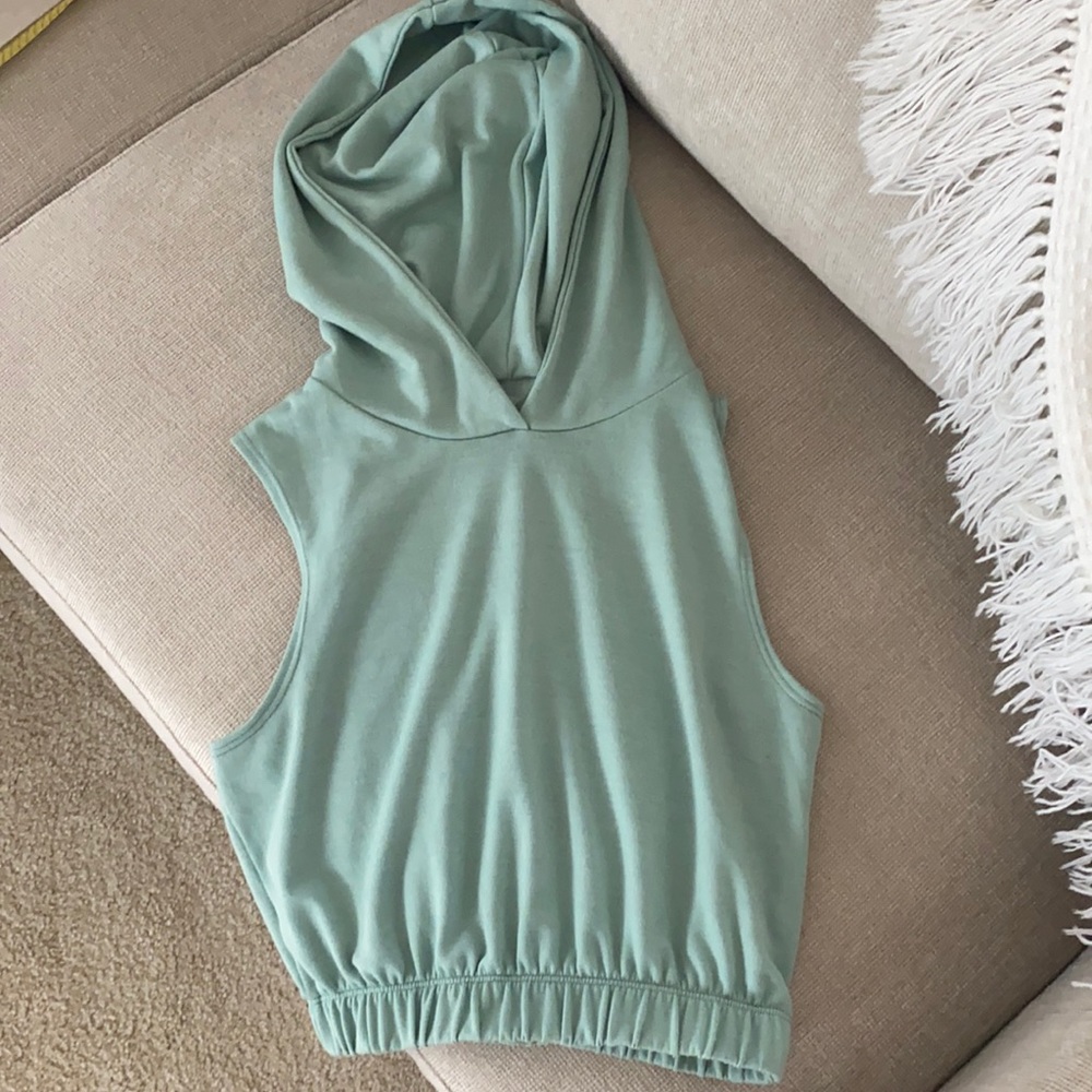 Altar’d state cropped hoodie